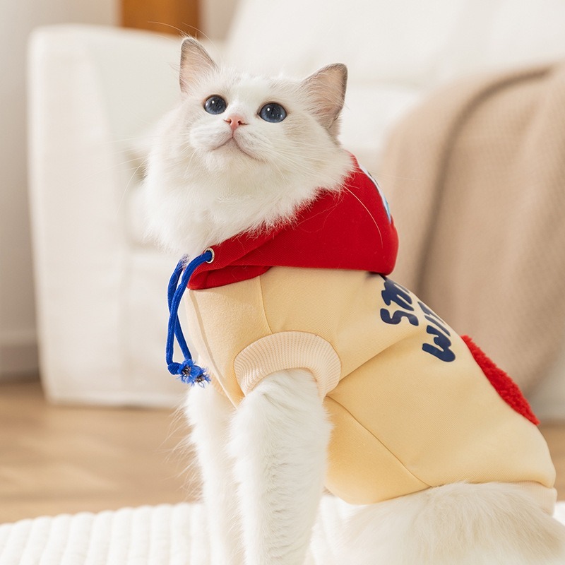 Cat Hoodie Winter Sherpa Fleec - Sherpa Hoodie Fleece avaliação e preço